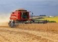 Com colheita antecipada, venda da soja cresce 53% no Paraná