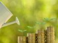 ESG pode trazer retorno financeiro para as empresas