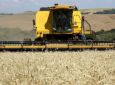 Safra de trigo deve alcançar 3,61 milhões de toneladas