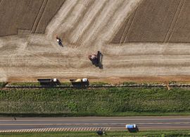 Com alta no PIB, relatório do IBGE consolida Paraná como quarta maior economia do Brasil